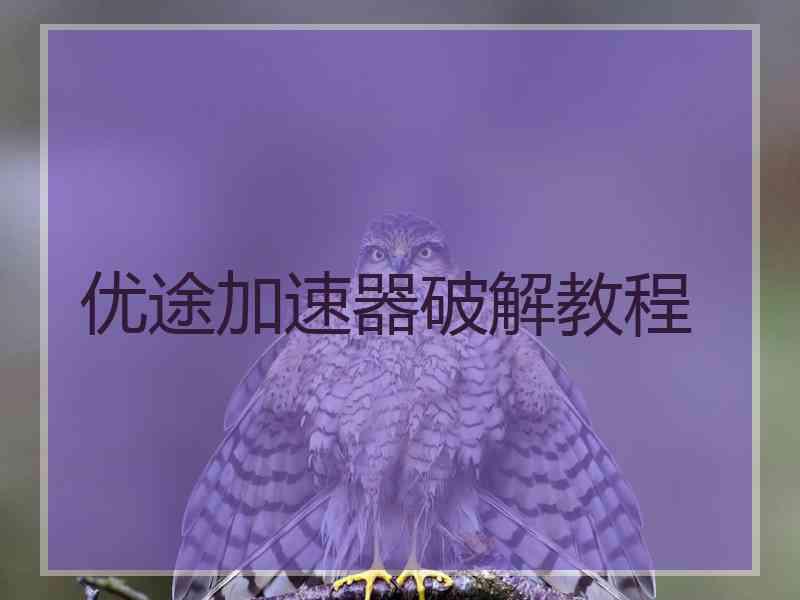 优途加速器破解教程