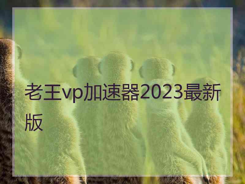 老王vp加速器2023最新版