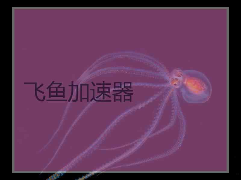 飞鱼加速器