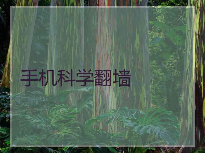 手机科学翻墙