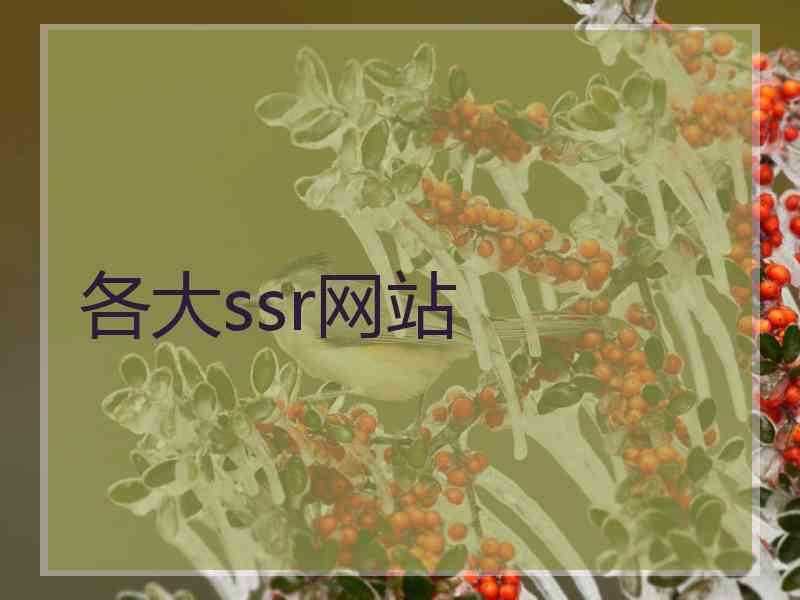 各大ssr网站