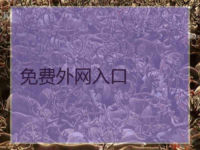 免费外网入口