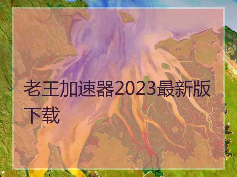 老王加速器2023最新版下载