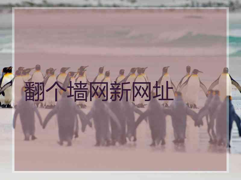 翻个墙网新网址