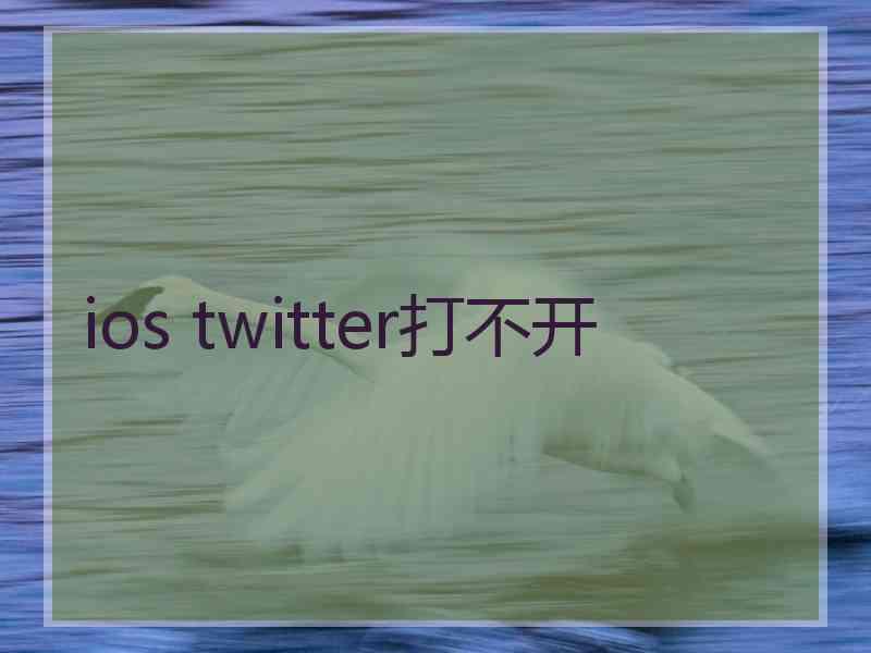 ios twitter打不开