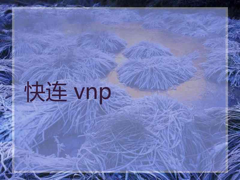 快连 vnp