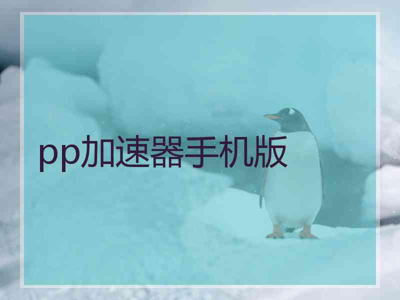 pp加速器手机版