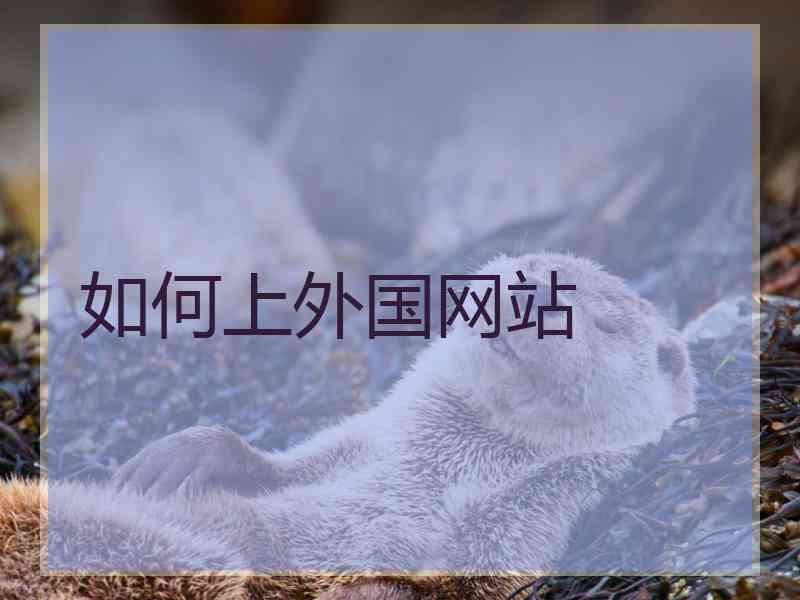 如何上外国网站