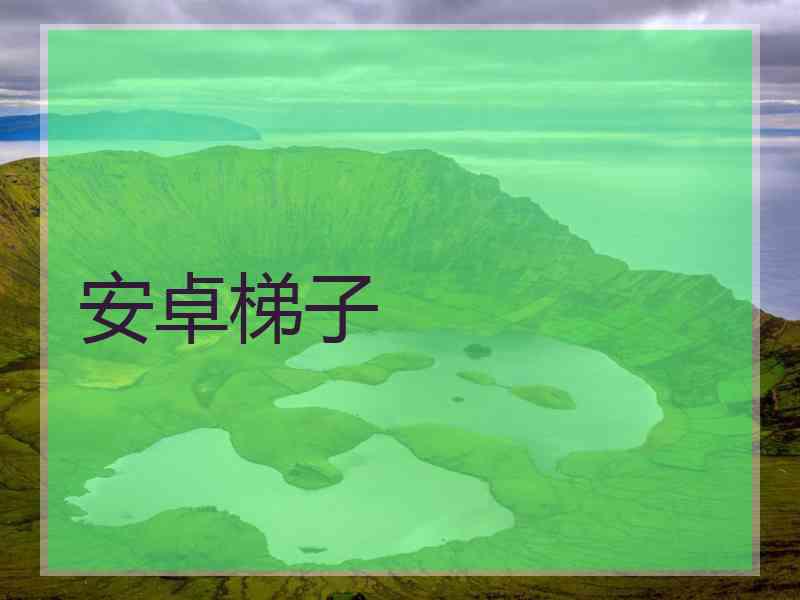 安卓梯子