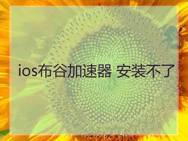 ios布谷加速器 安装不了