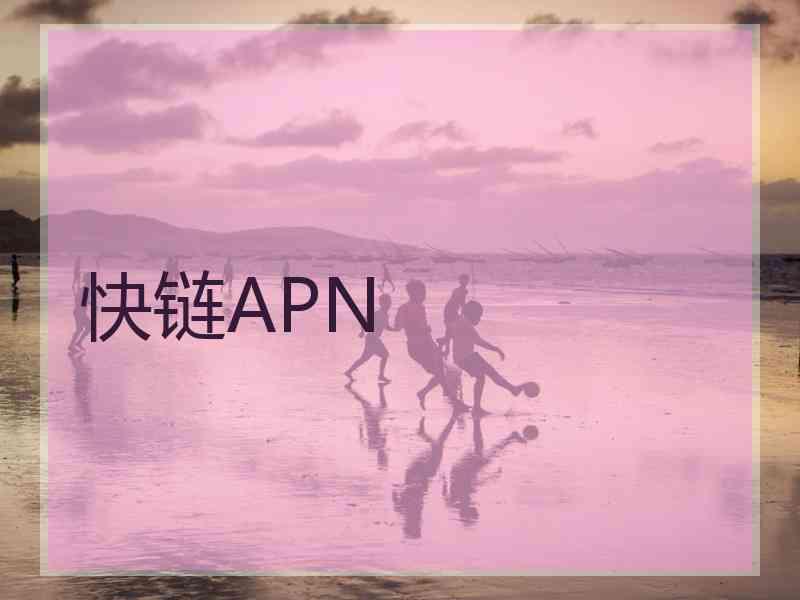 快链APN