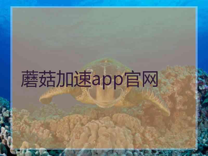 蘑菇加速app官网