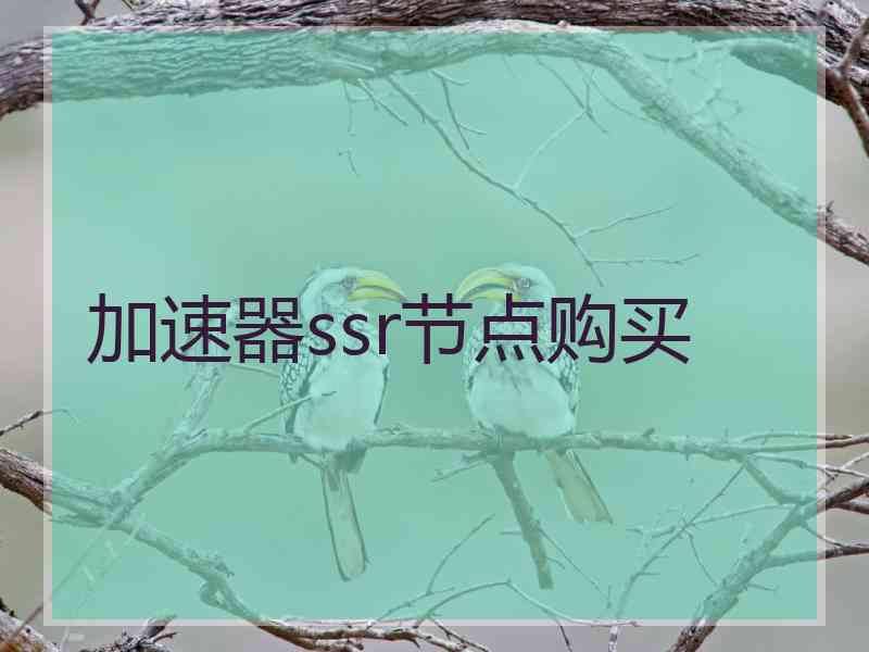 加速器ssr节点购买