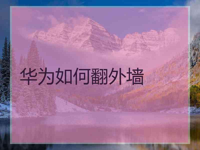 华为如何翻外墙