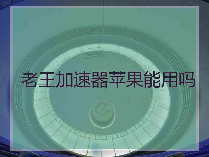 老王加速器苹果能用吗