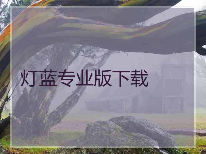 灯蓝专业版下载