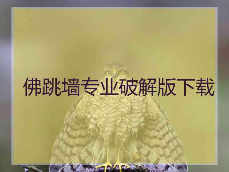 佛跳墙专业破解版下载