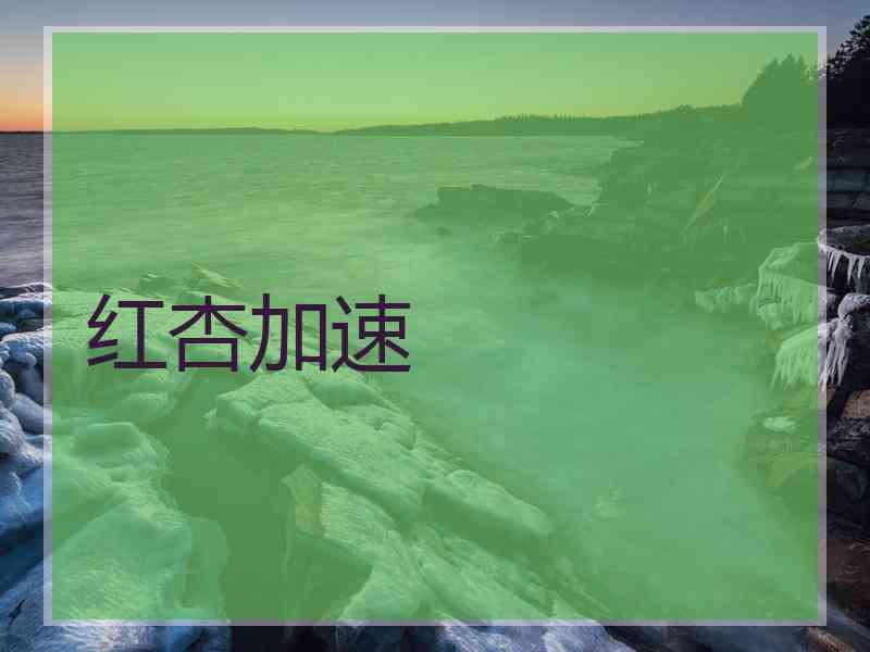 红杏加速