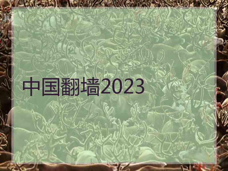 中国翻墙2023