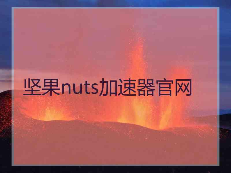 坚果nuts加速器官网