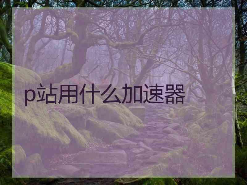p站用什么加速器