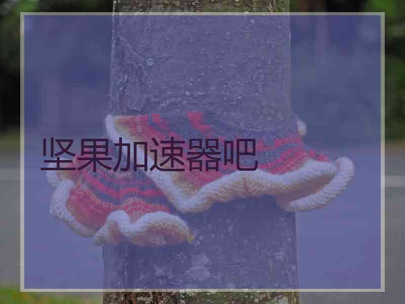 坚果加速器吧