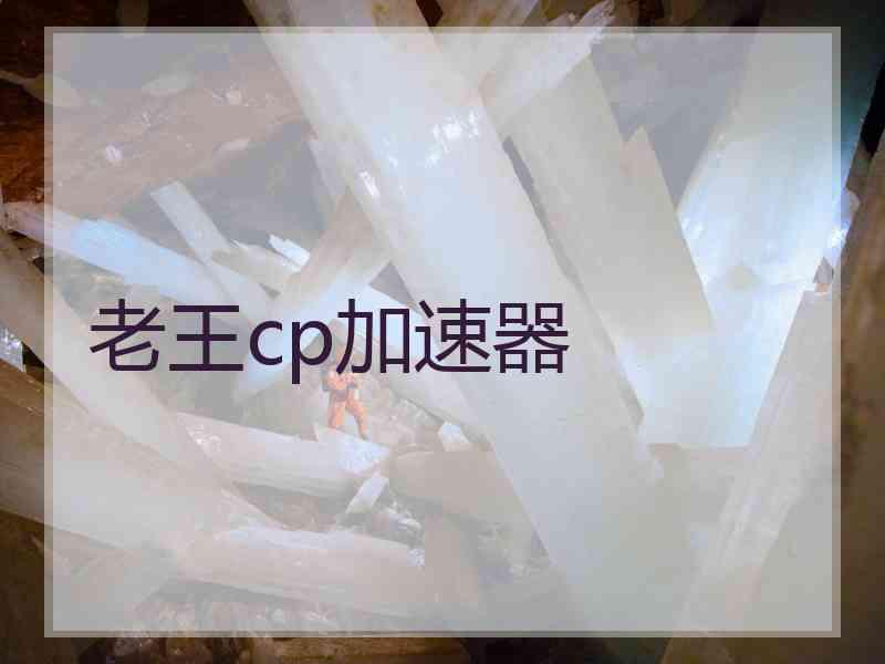 老王cp加速器