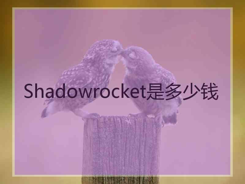 Shadowrocket是多少钱
