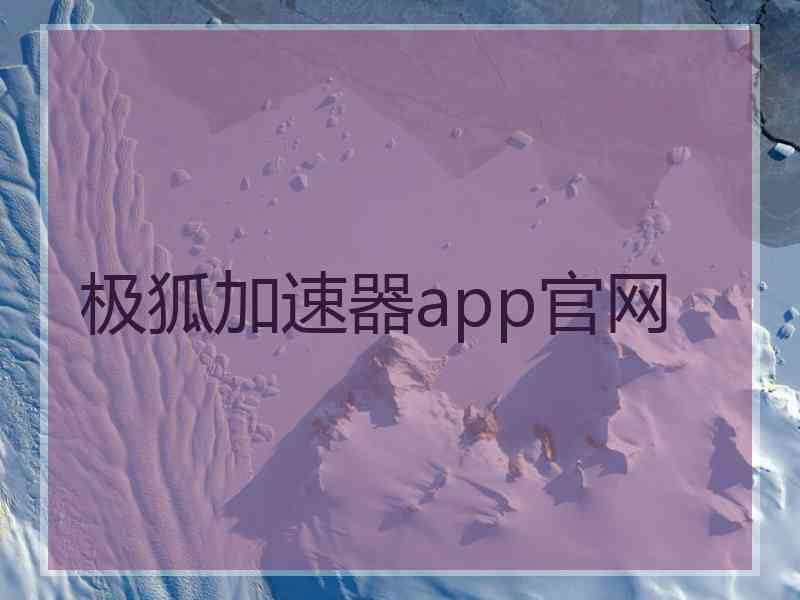 极狐加速器app官网