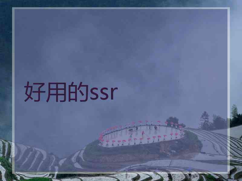 好用的ssr