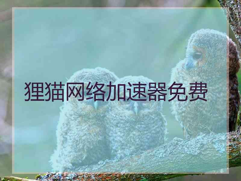 狸猫网络加速器免费