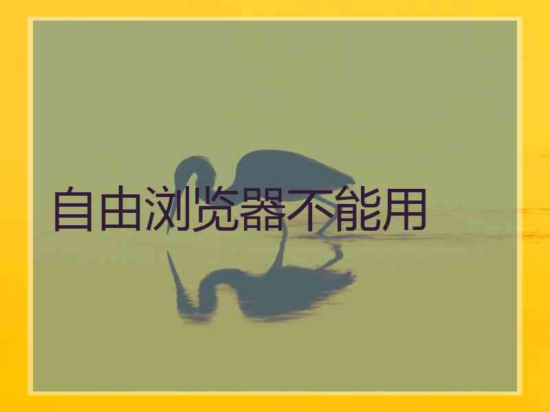 自由浏览器不能用