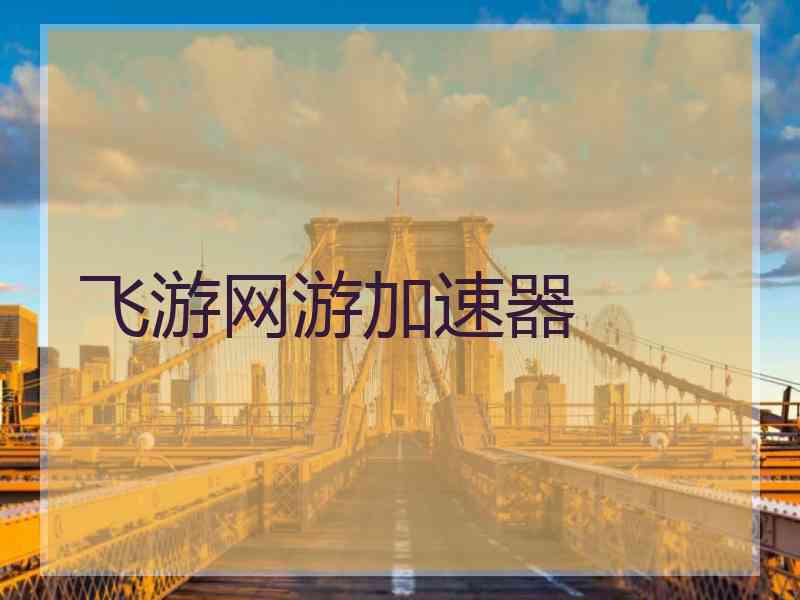 飞游网游加速器