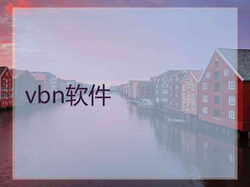 vbn软件