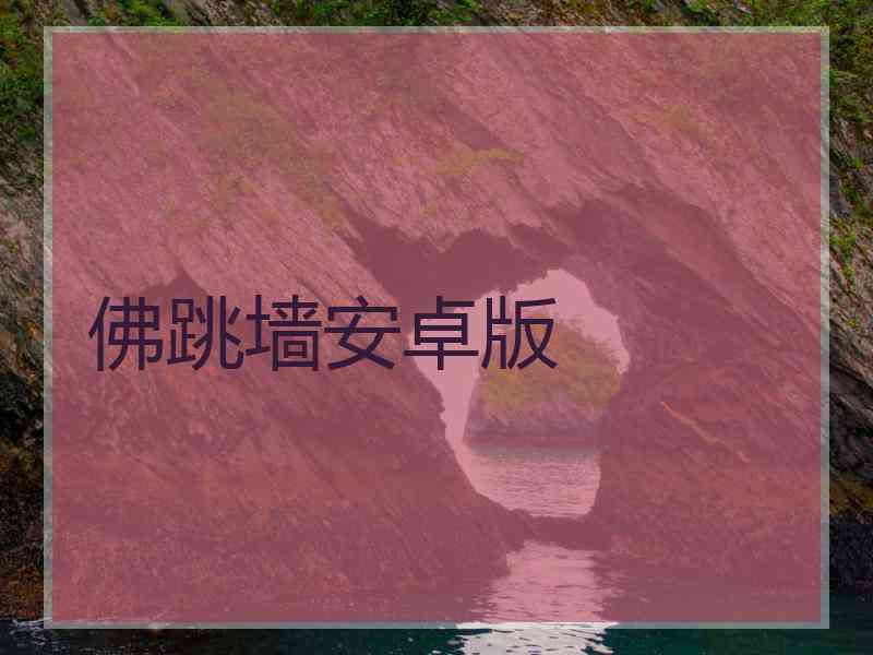 佛跳墙安卓版