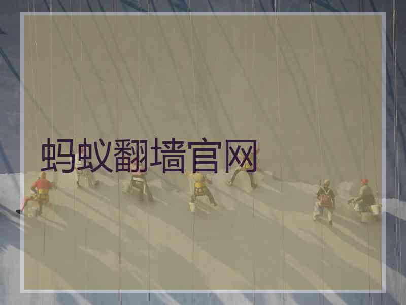 蚂蚁翻墙官网