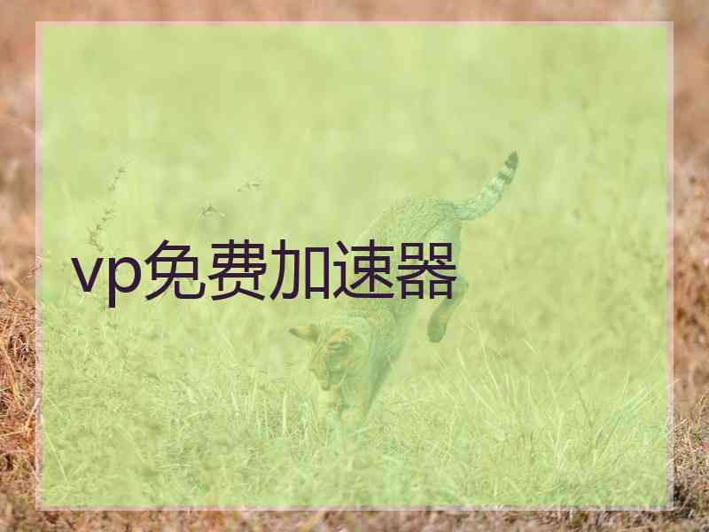 vp免费加速器