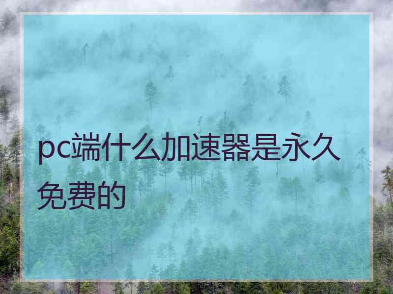 pc端什么加速器是永久免费的