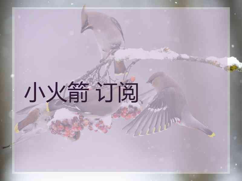 小火箭 订阅