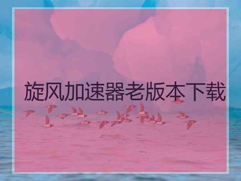 旋风加速器老版本下载