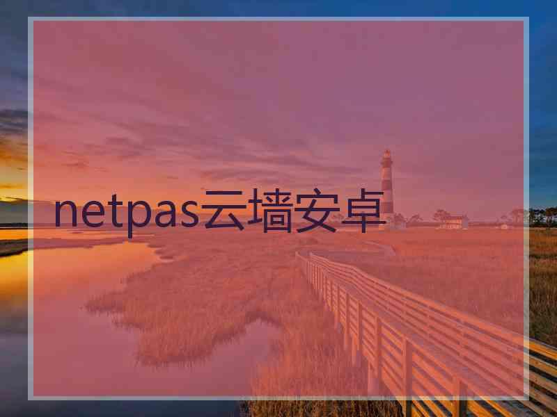 netpas云墙安卓