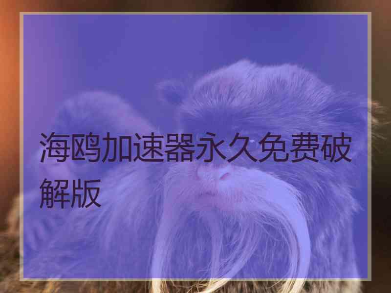 海鸥加速器永久免费破解版