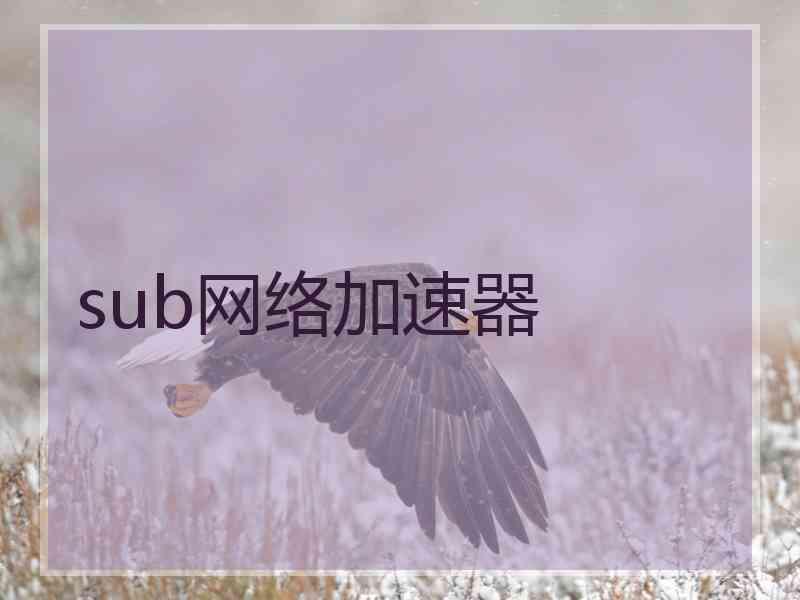 sub网络加速器