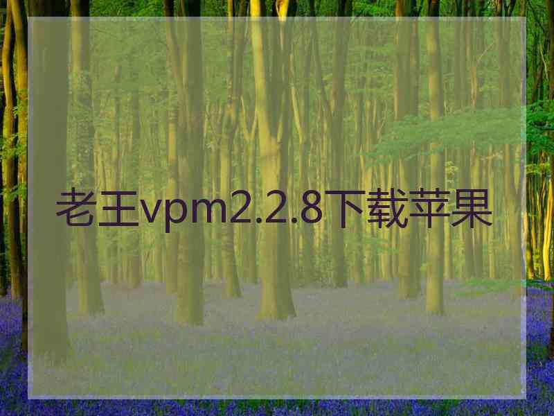 老王vpm2.2.8下载苹果