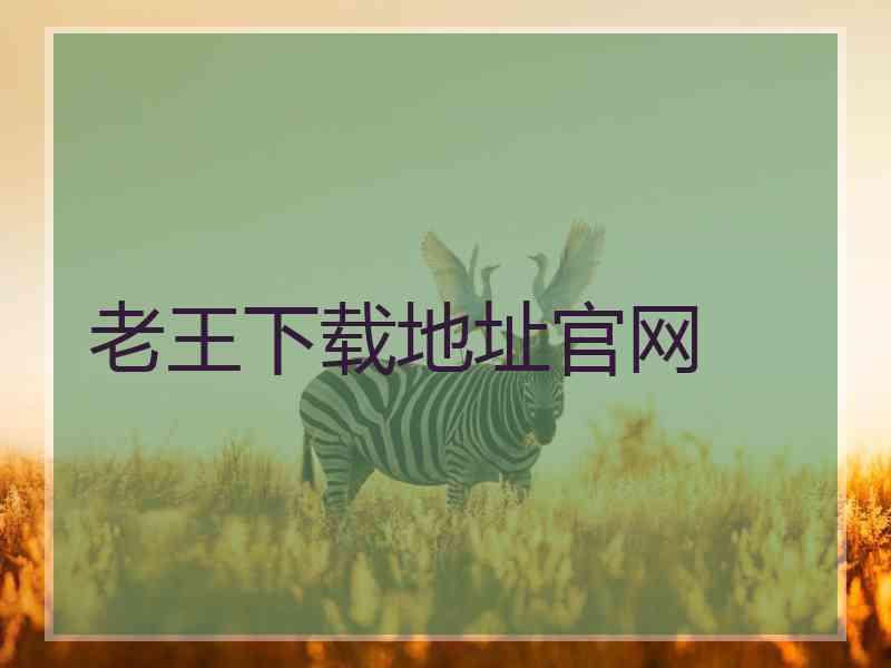 老王下载地址官网