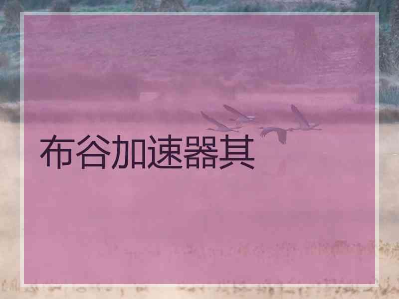 布谷加速器其