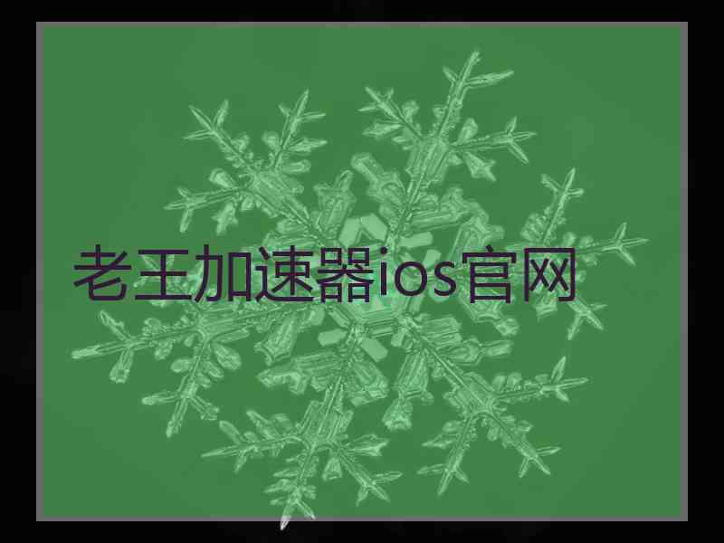 老王加速器ios官网