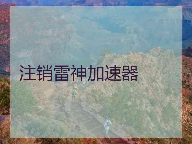 注销雷神加速器