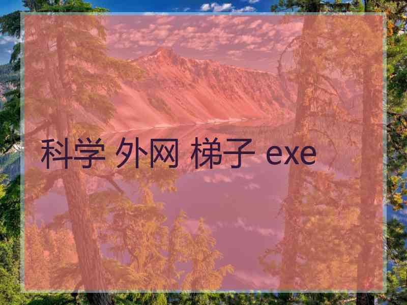 科学 外网 梯子 exe