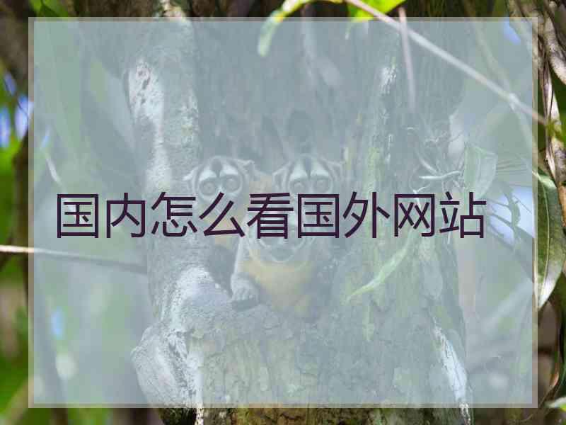 国内怎么看国外网站